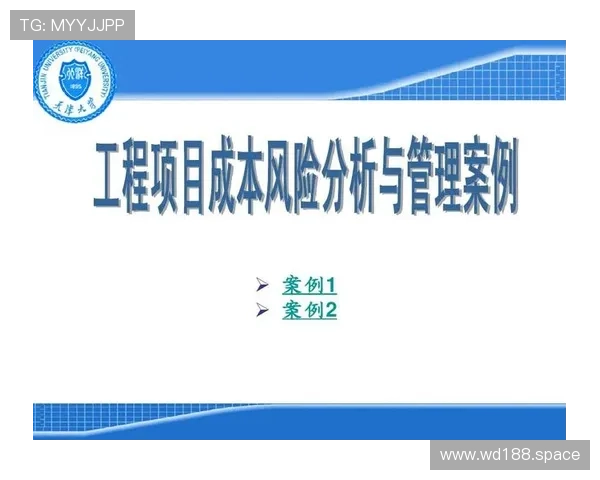 万达国际输出成功案例分析与经验总结